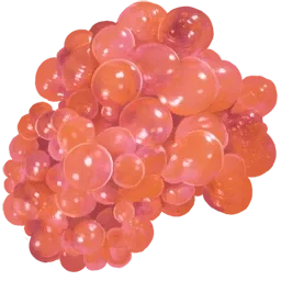 Paleberry