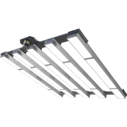 Ceiling Light
