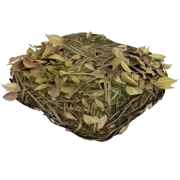 Biomass