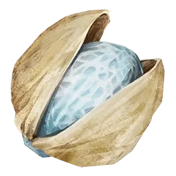 Beryl Nut